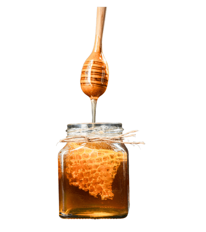 Κηρύθρα με μέλι